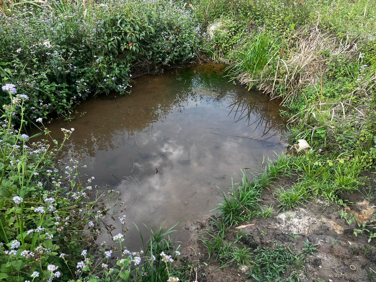 water well